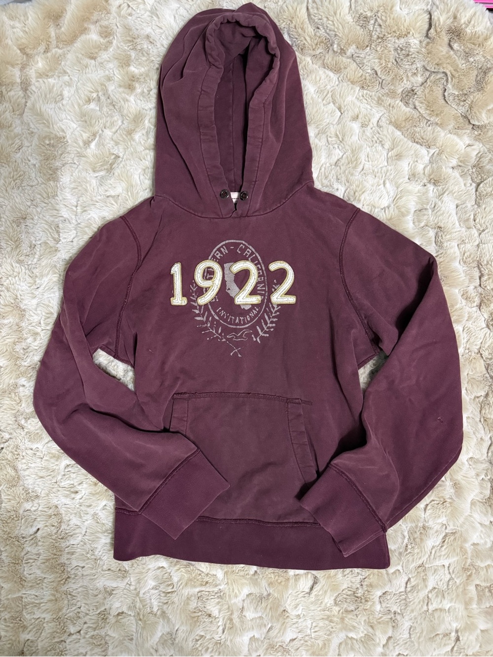 Vintage Hollister Men’s Hooded Pullover Sweatshirt - Burgundy